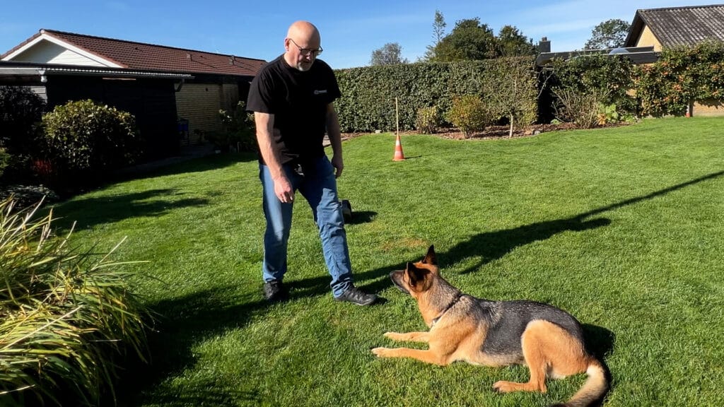 Sådan lærer du din hund dæk-kommandoen