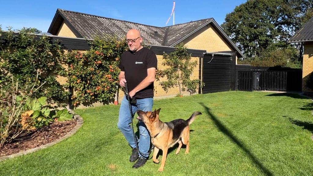 Repetition af lineføring hos familiehund.dk