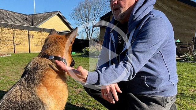 Sådan bruges halsbåndsgrebet